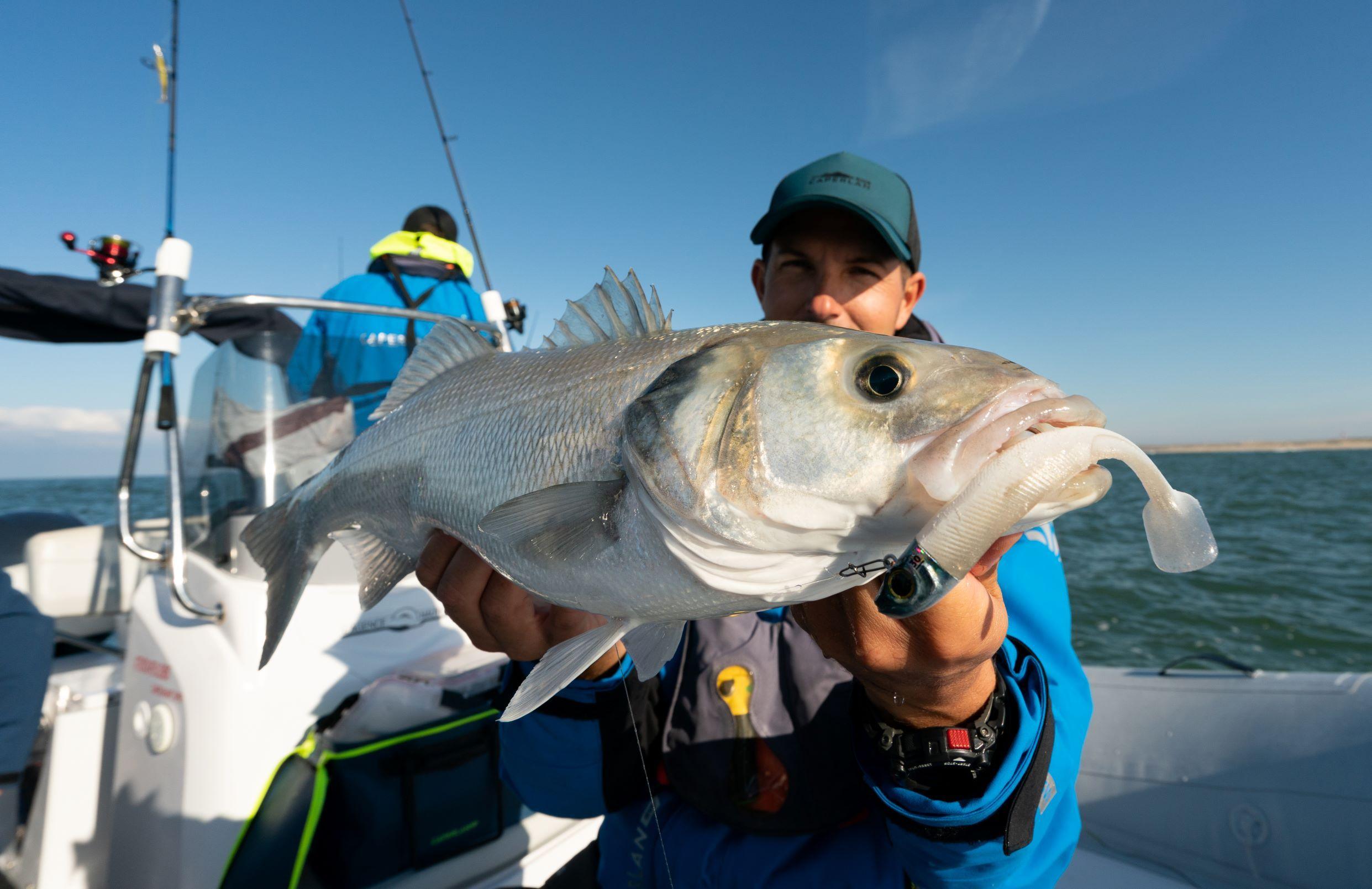 SPORTS OUTDOOR - Decathlon Maurice