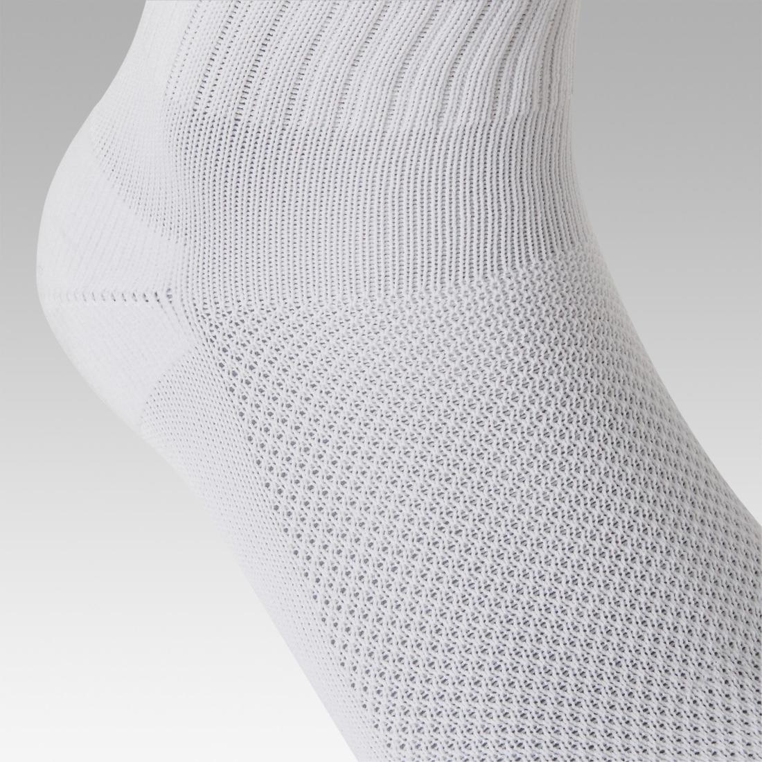 IMG_8350125_4