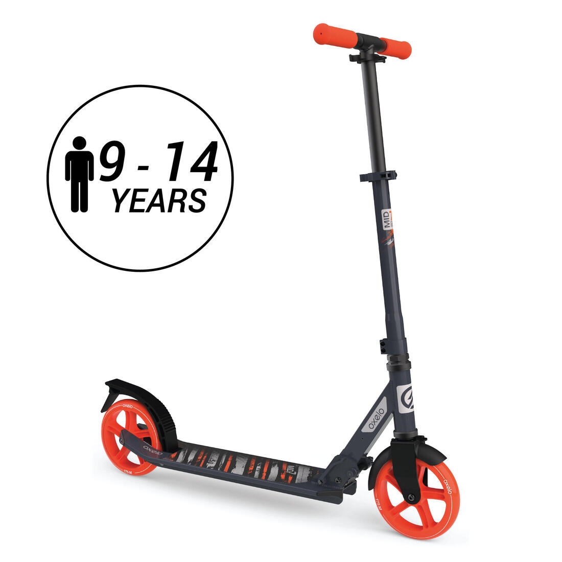 IMG_2032775