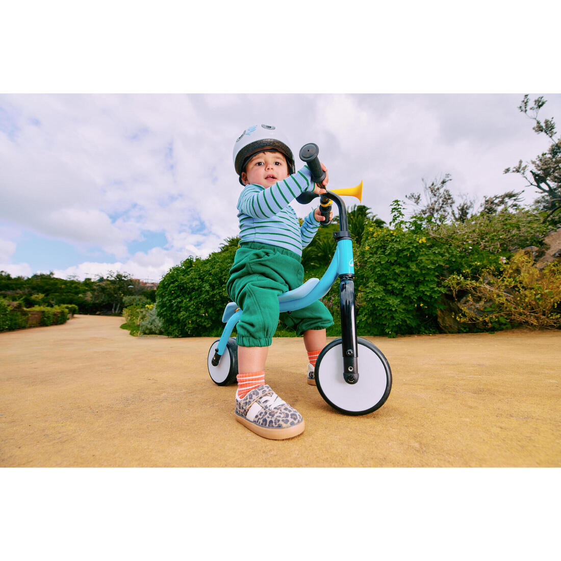 IMG_8881426_13