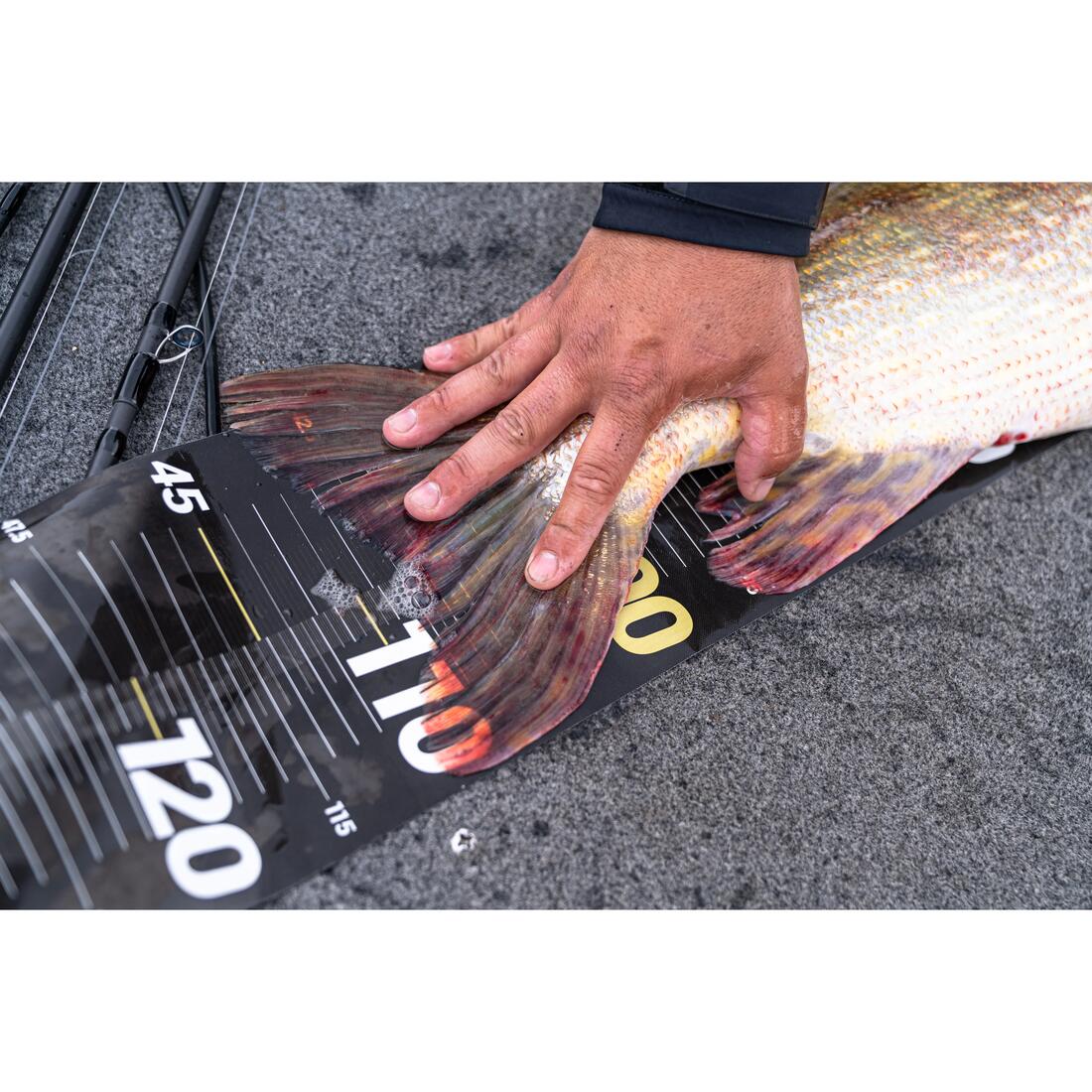 IMG_8607182_7