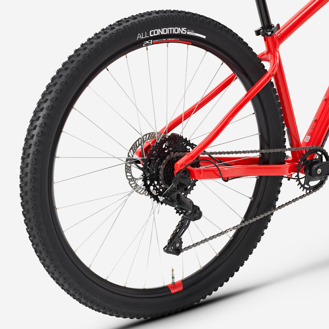 IMG_8920257_5