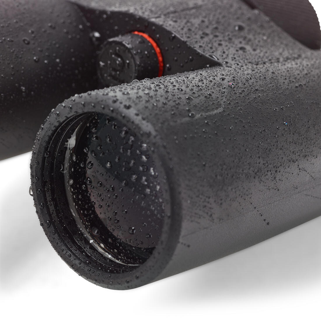 IMG_8600093_5