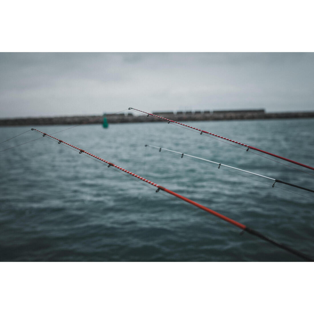 IMG_8406624_5
