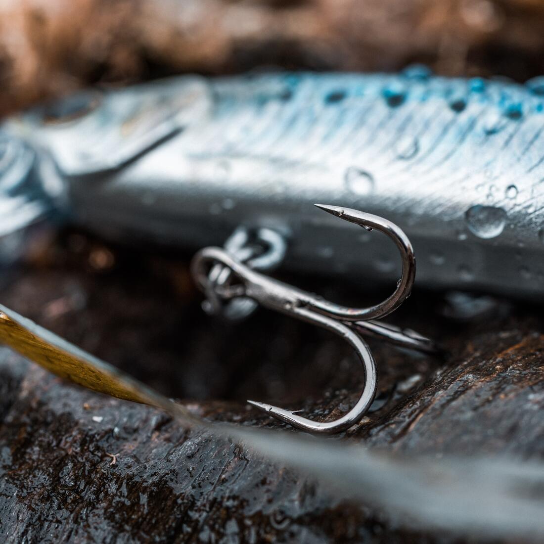 IMG_8589057_6