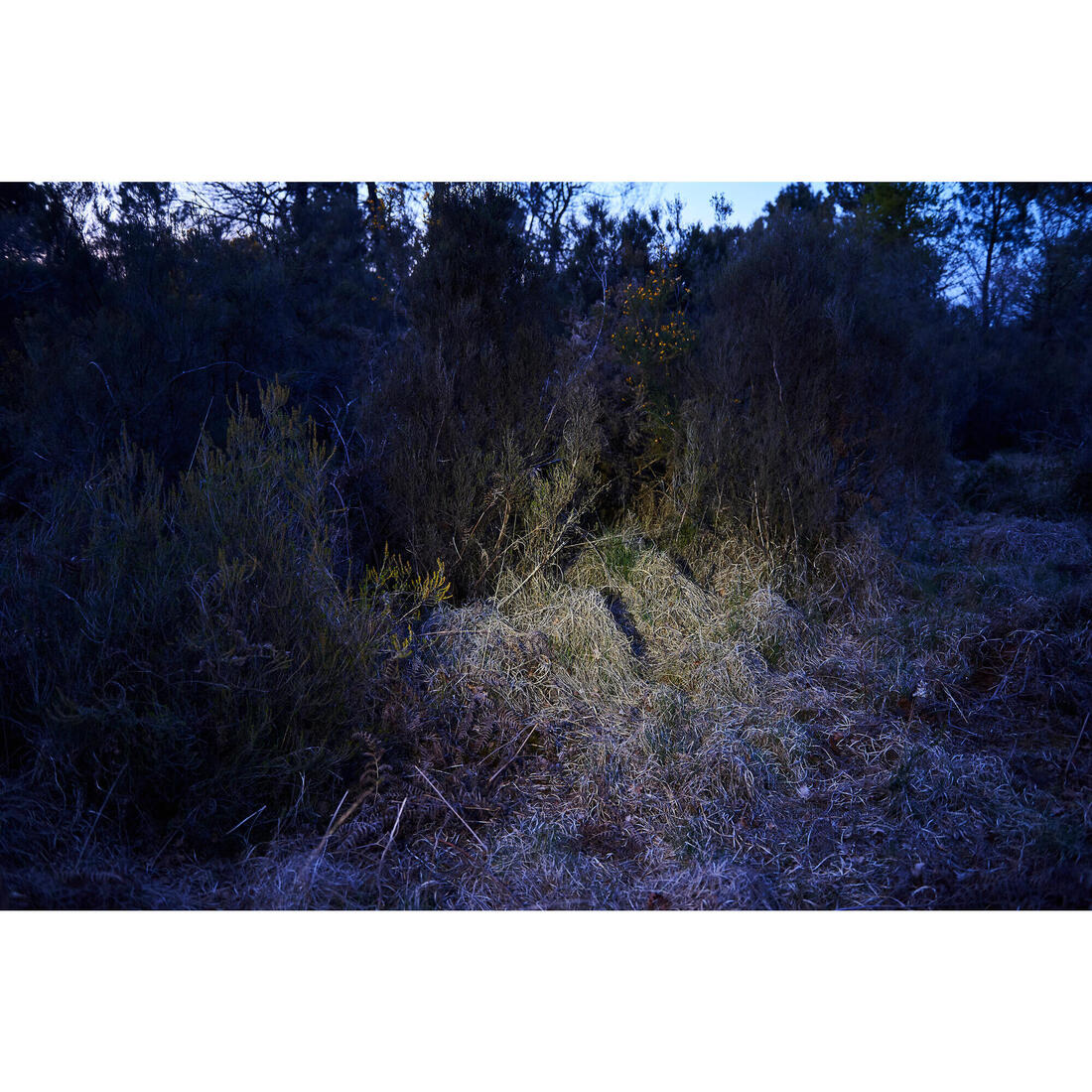 IMG_8579936_12
