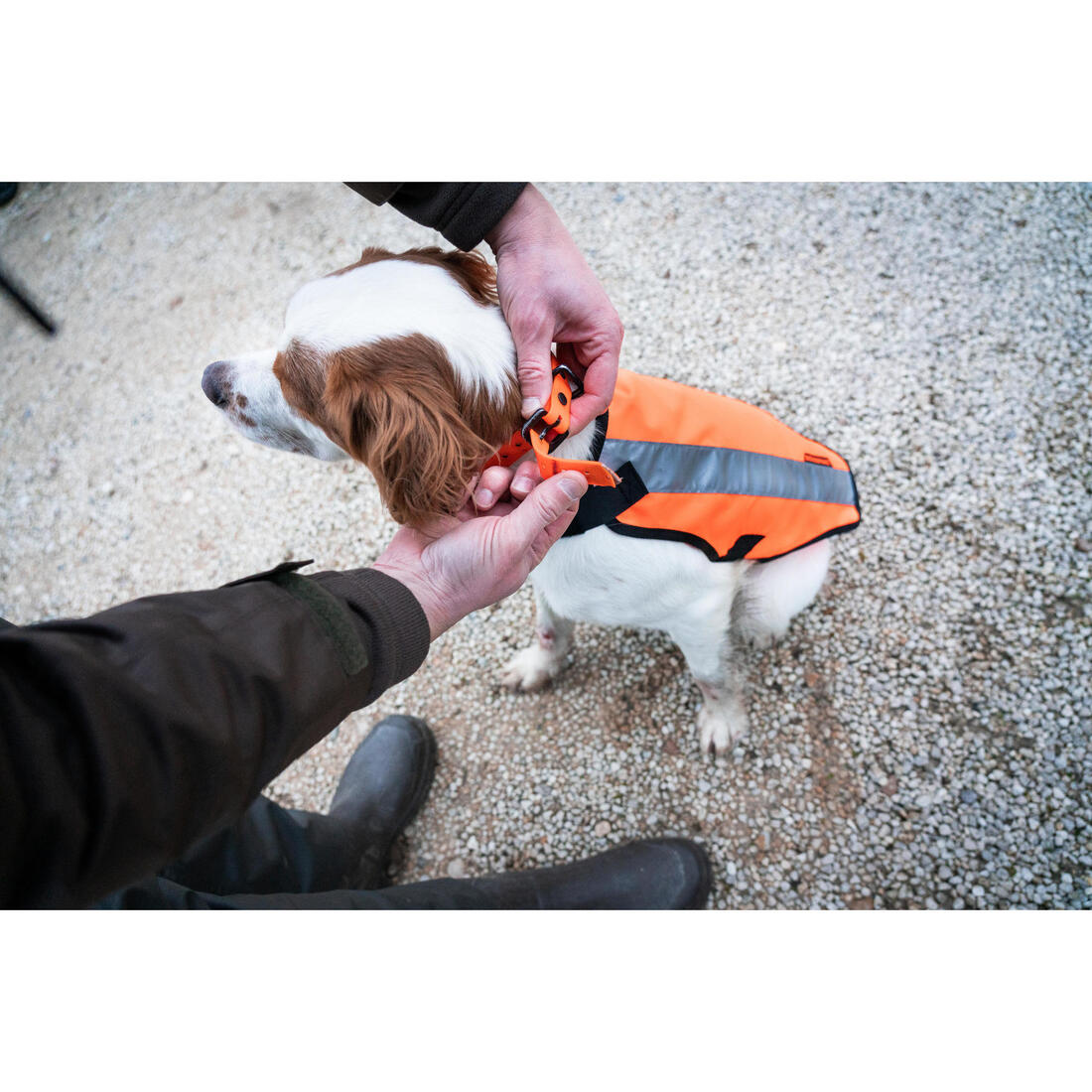 IMG_8222988_16
