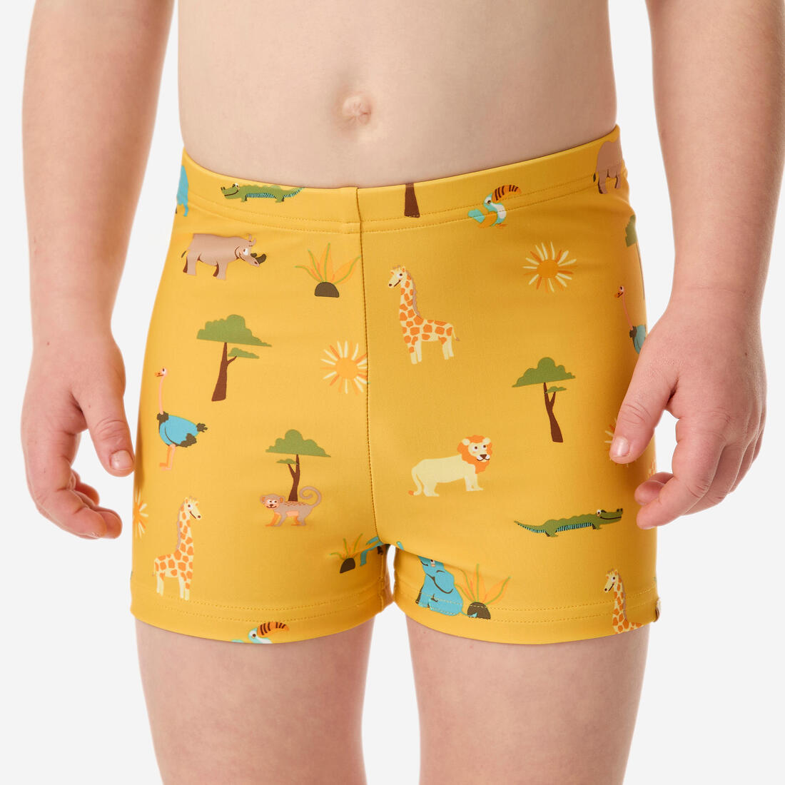 IMG_8790057_2