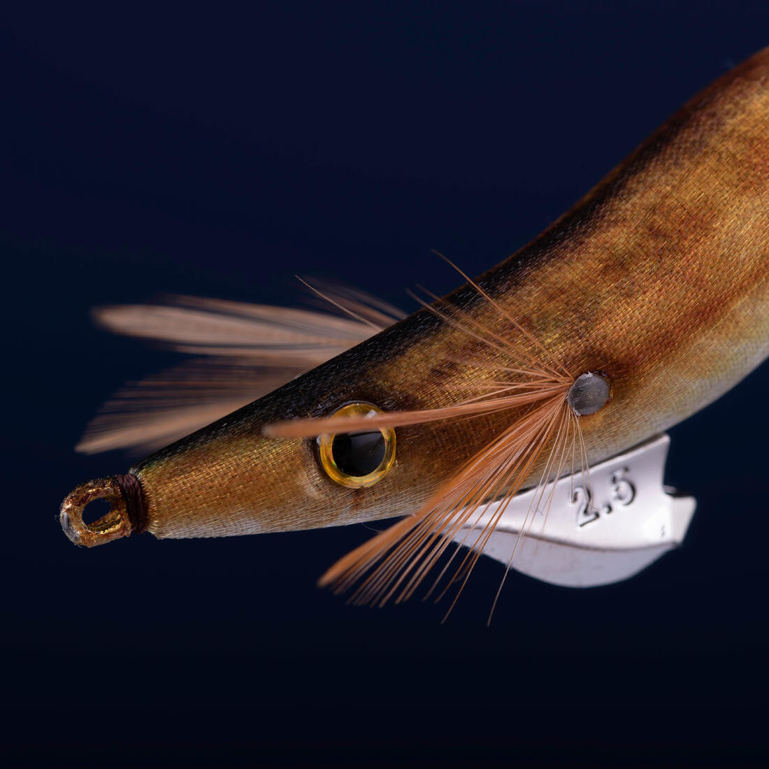 IMG_8588888_3