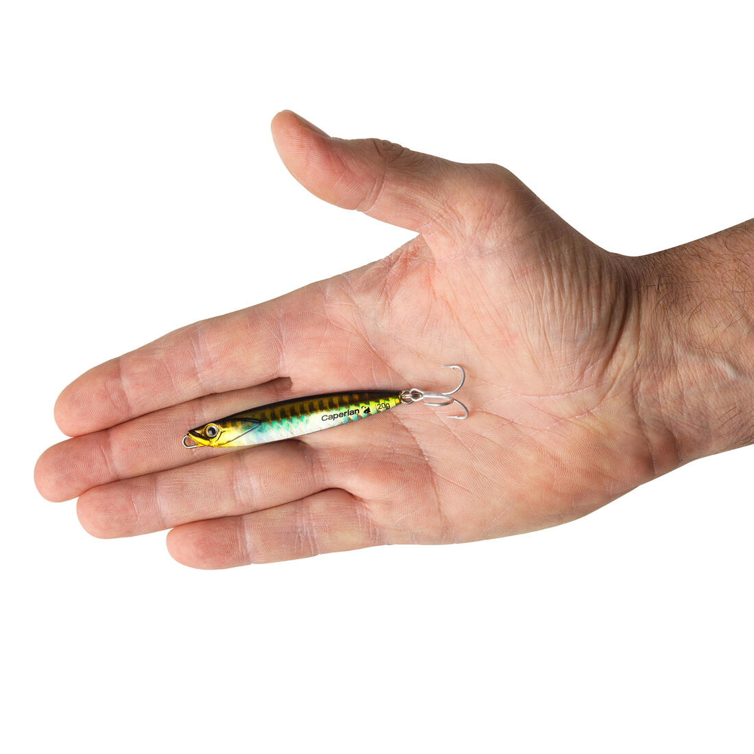 IMG_8495553_5