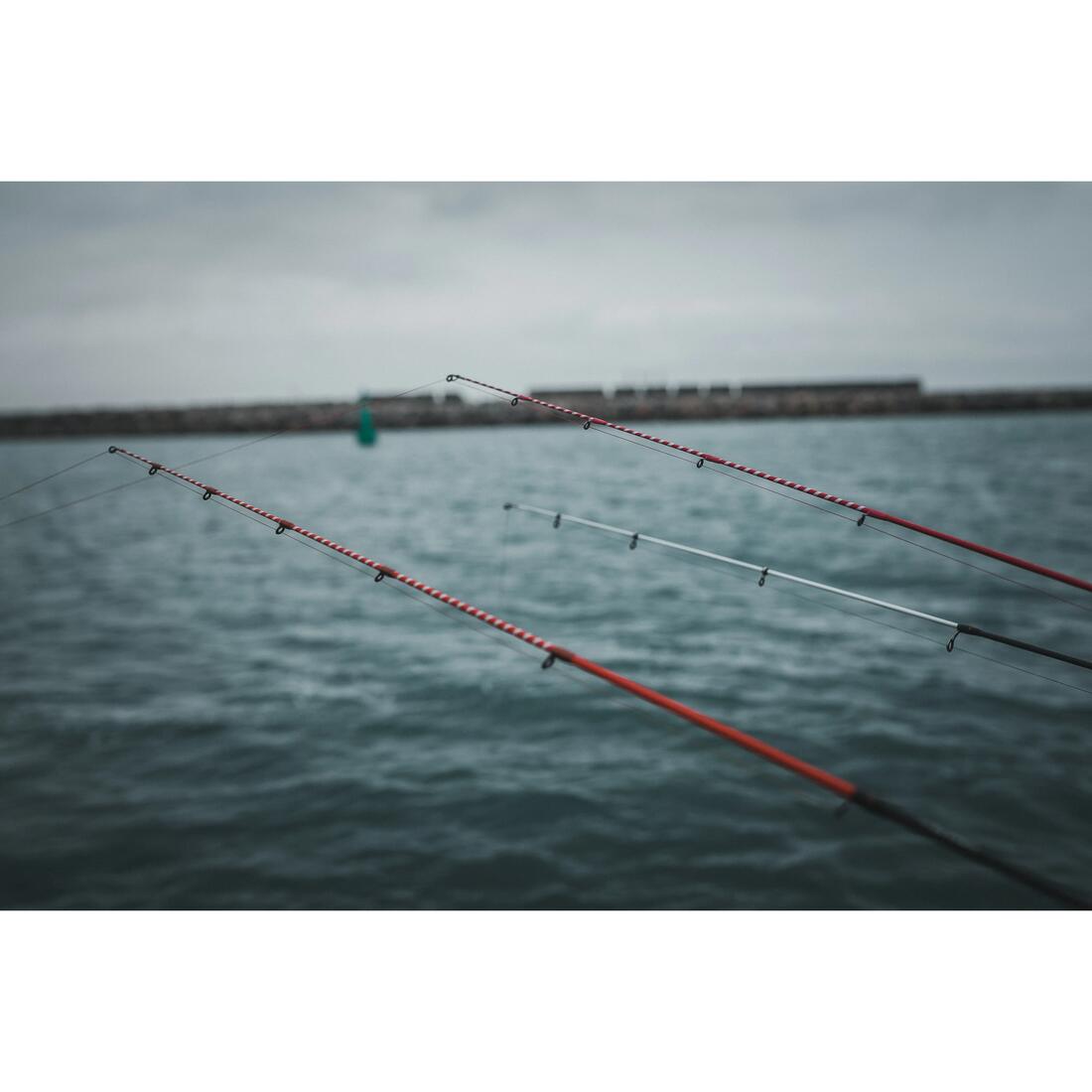 IMG_8406624_5
