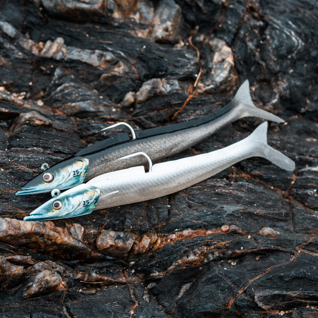 IMG_8734649_4