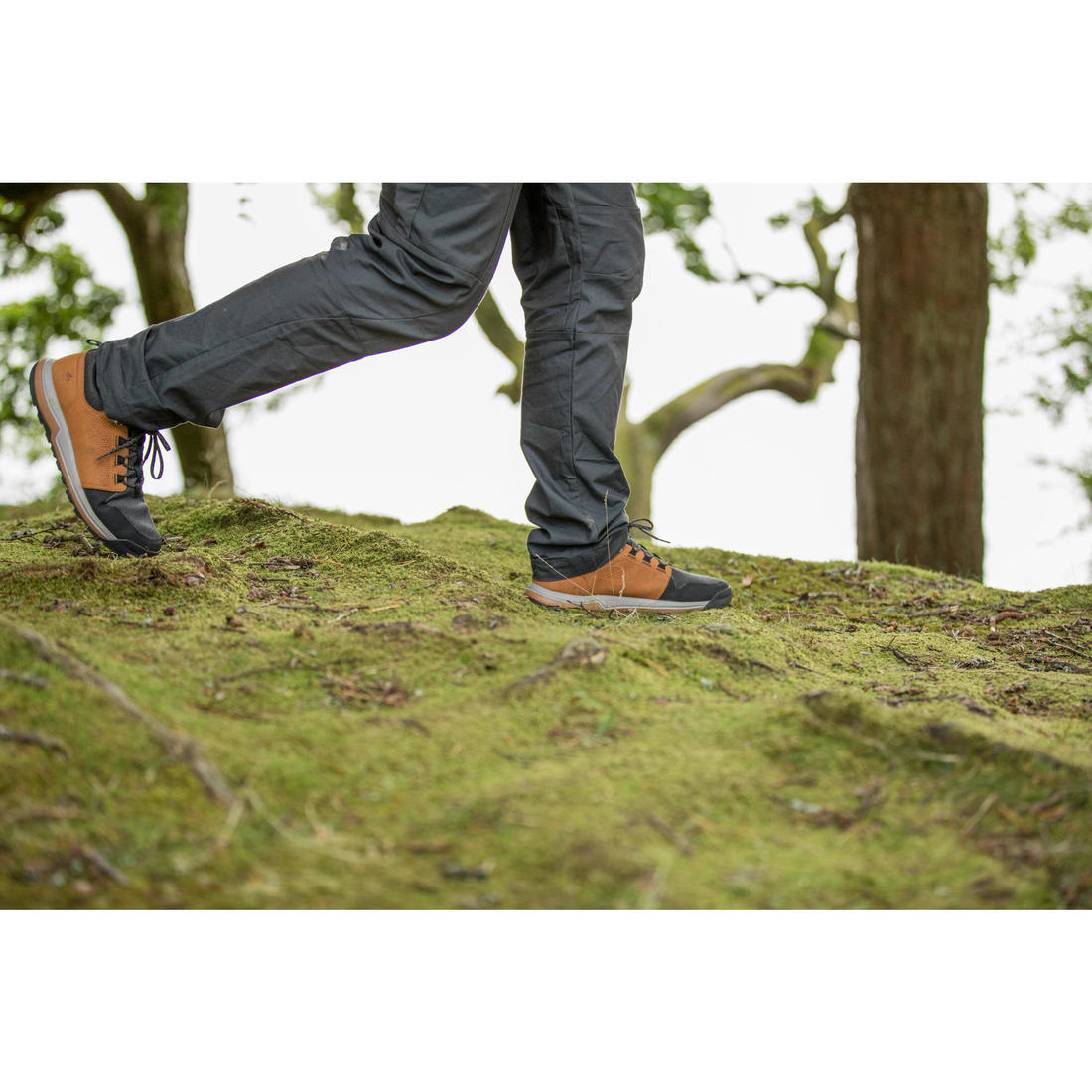 IMG_8502453_14