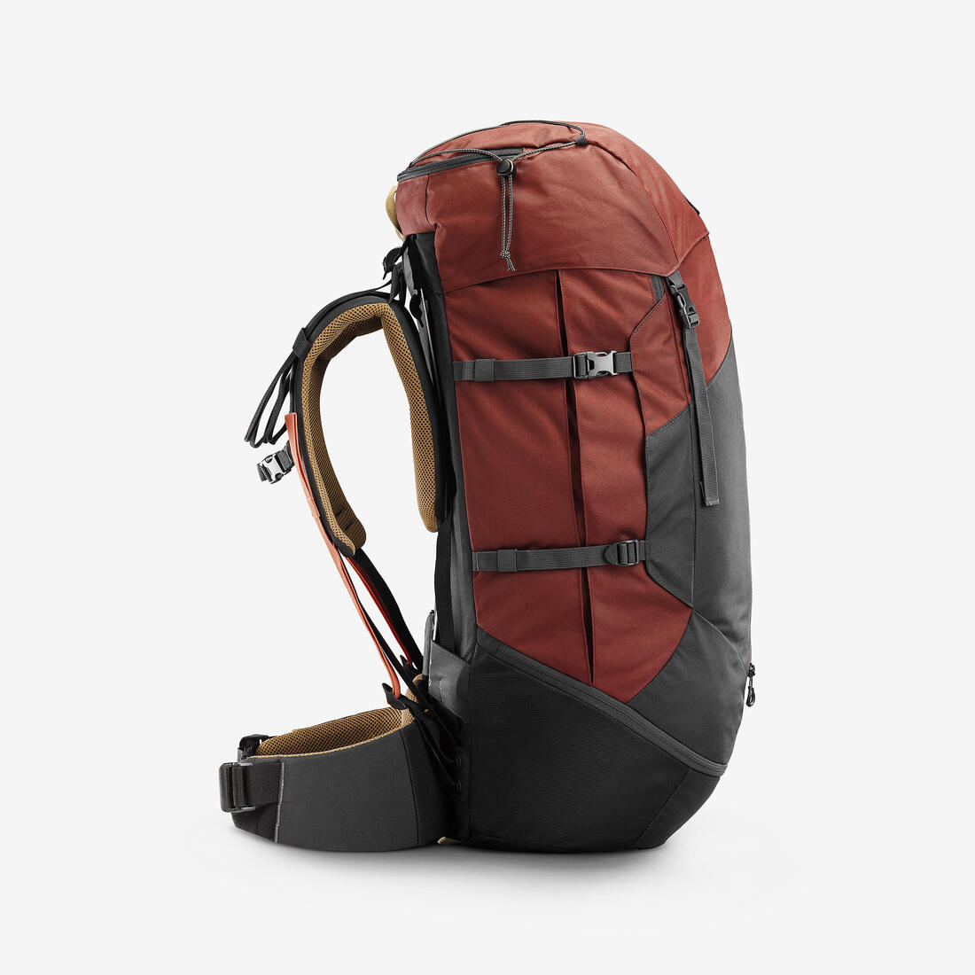 IMG_8559696_5