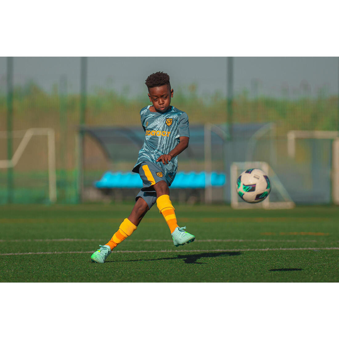 IMG_8911804_8