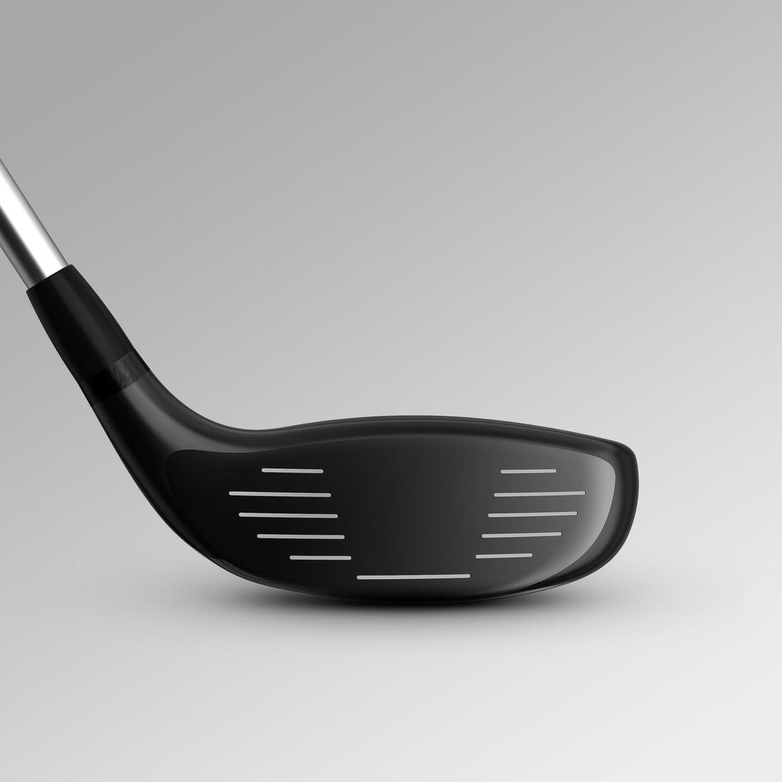 IMG_8559629_4