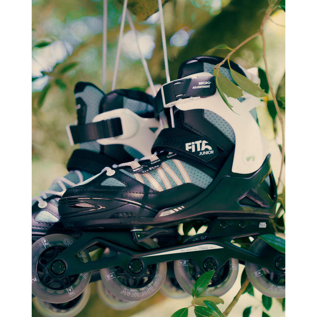 IMG_2351573