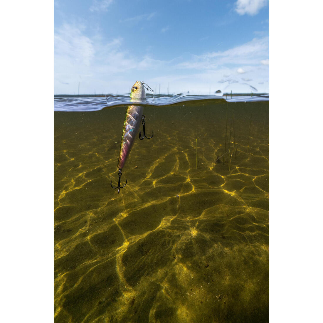 IMG_8601746_6