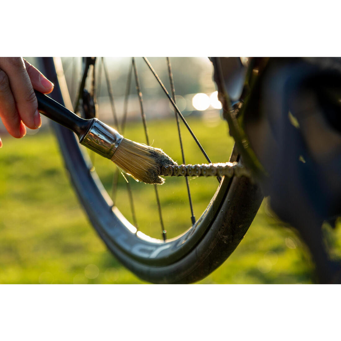 IMG_8579955_15