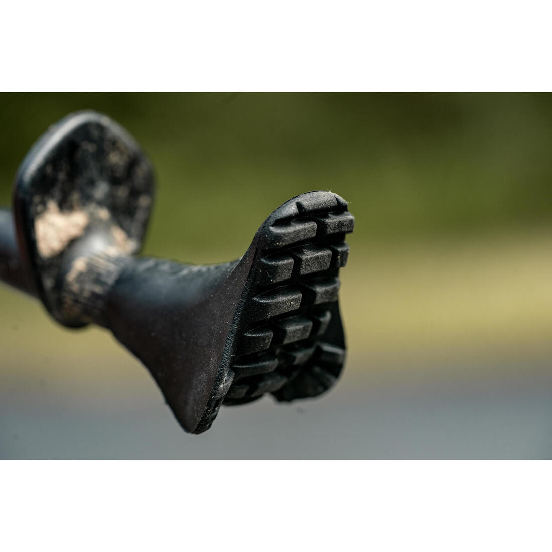 IMG_8486245_6