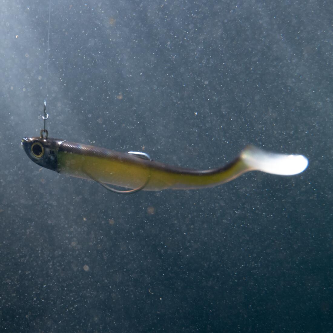 IMG_8643710_11