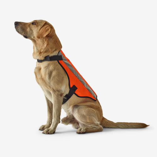 





GILET CHIEN CHASSE ORANGE 100