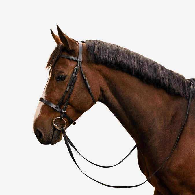 





Filet et rênes équitation cuir muserolle française Cheval et Poney - 100 noir, photo 1 of 21