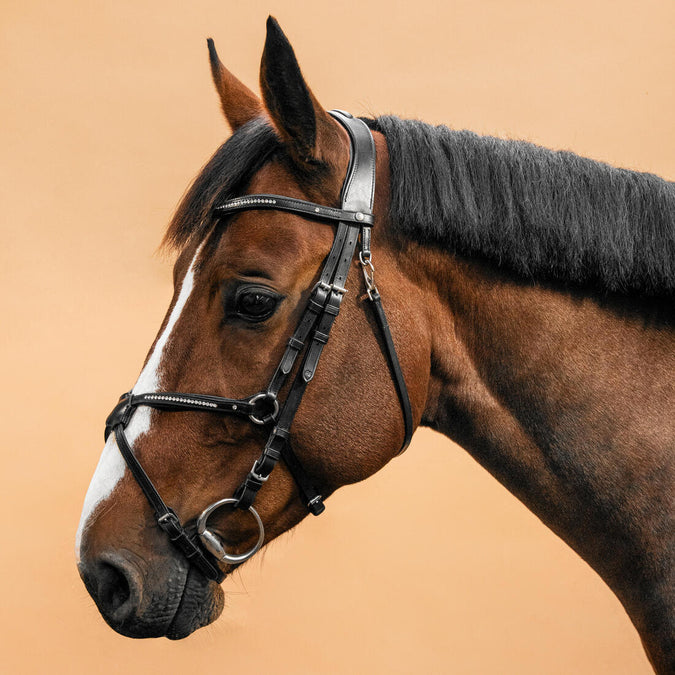 





Filet équitation cuir muserolle croisée strass Cheval et Poney - 580 noir, photo 1 of 8