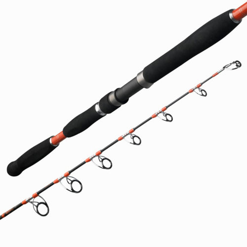 





Canne Jig CLASSIC 5.5 pêche en mer