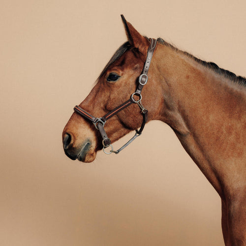 





Licol cuir équitation Cheval et poney - 900 marron - Decathlon Maurice
