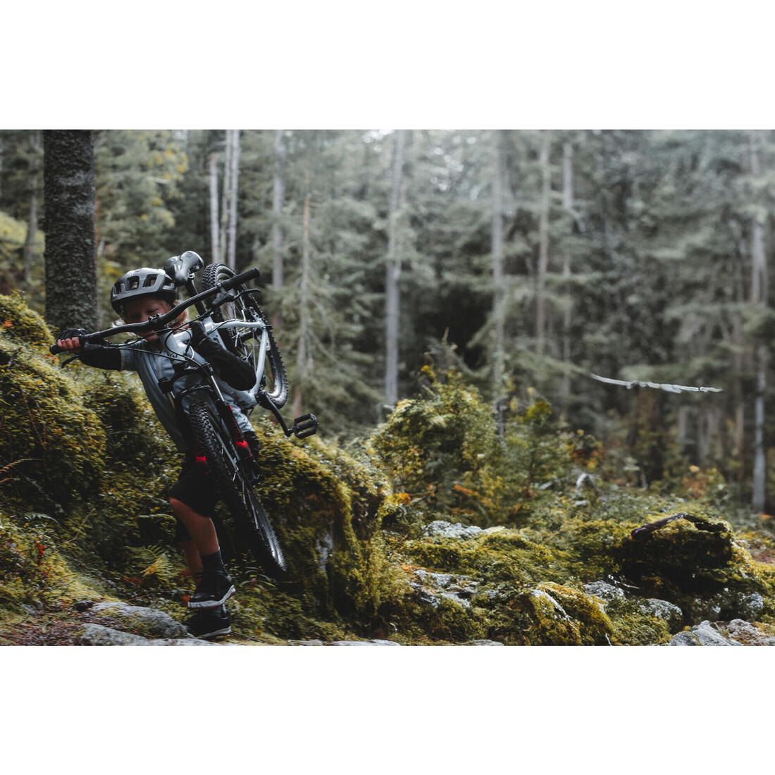 IMG_8828225_15