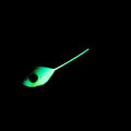 IMG_8646660_3