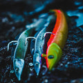 IMG_8559824_5