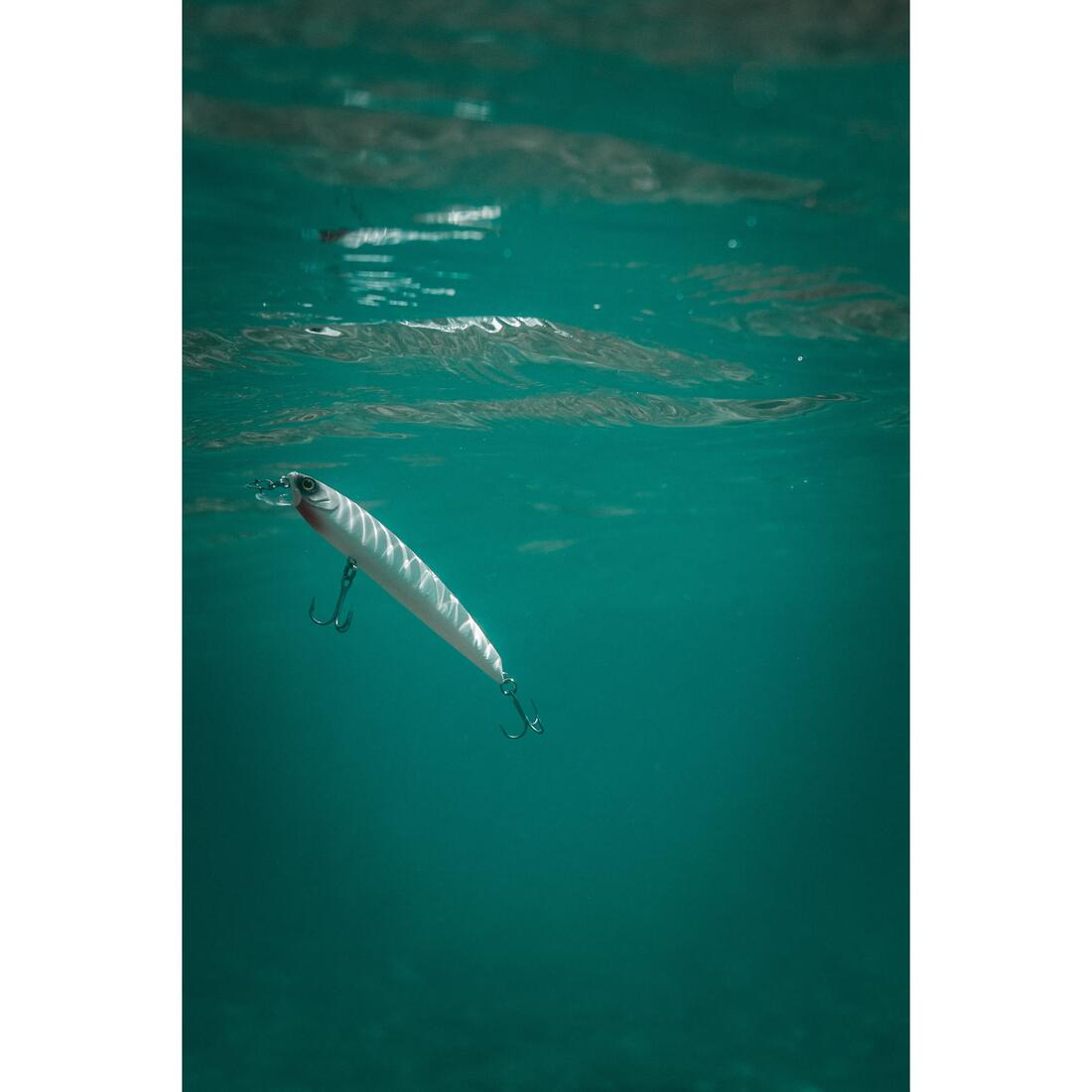 IMG_8606229_6
