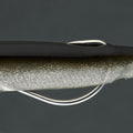 IMG_8582781_4
