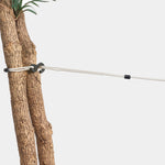 Product thumbnail 6 of 6