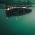 IMG_8804213_12