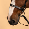 IMG_8339776_6