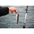 IMG_2399836
