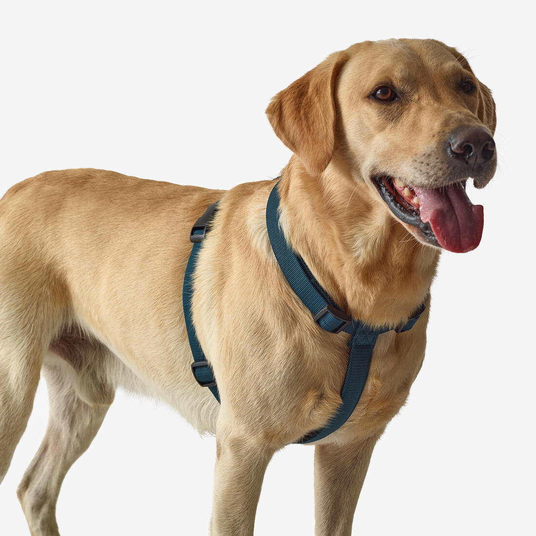 IMG_8807797_1