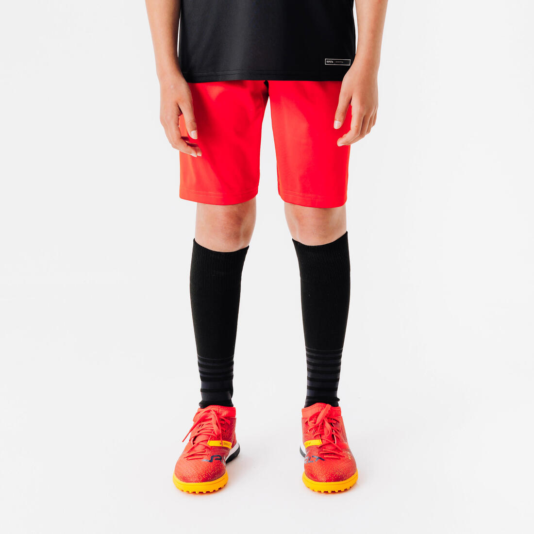 IMG_8558492_1