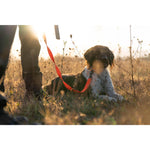 Product thumbnail 5 of 6