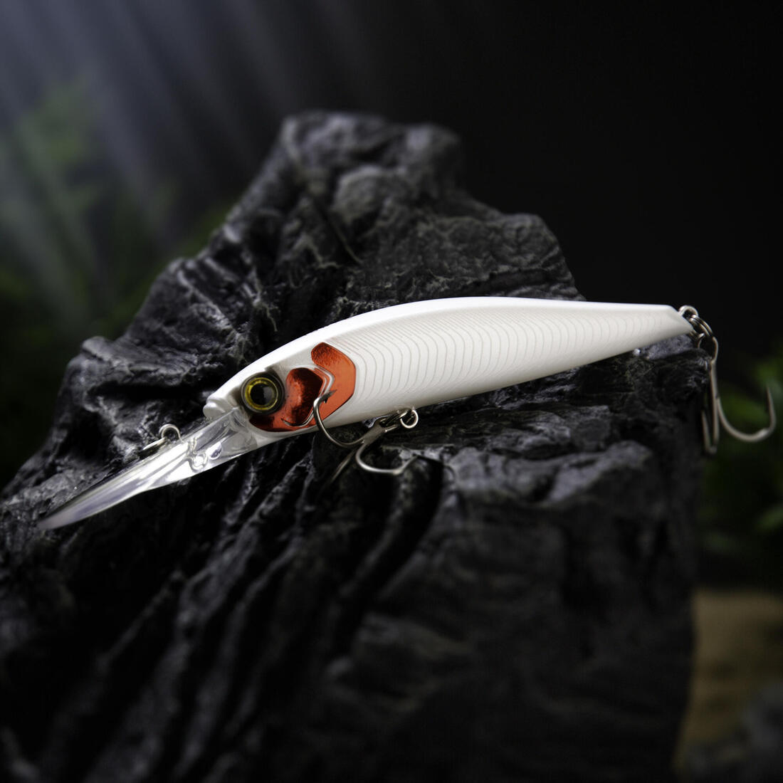 IMG_8589078_4