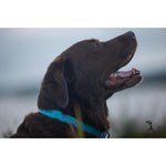 Product thumbnail 9 of 10