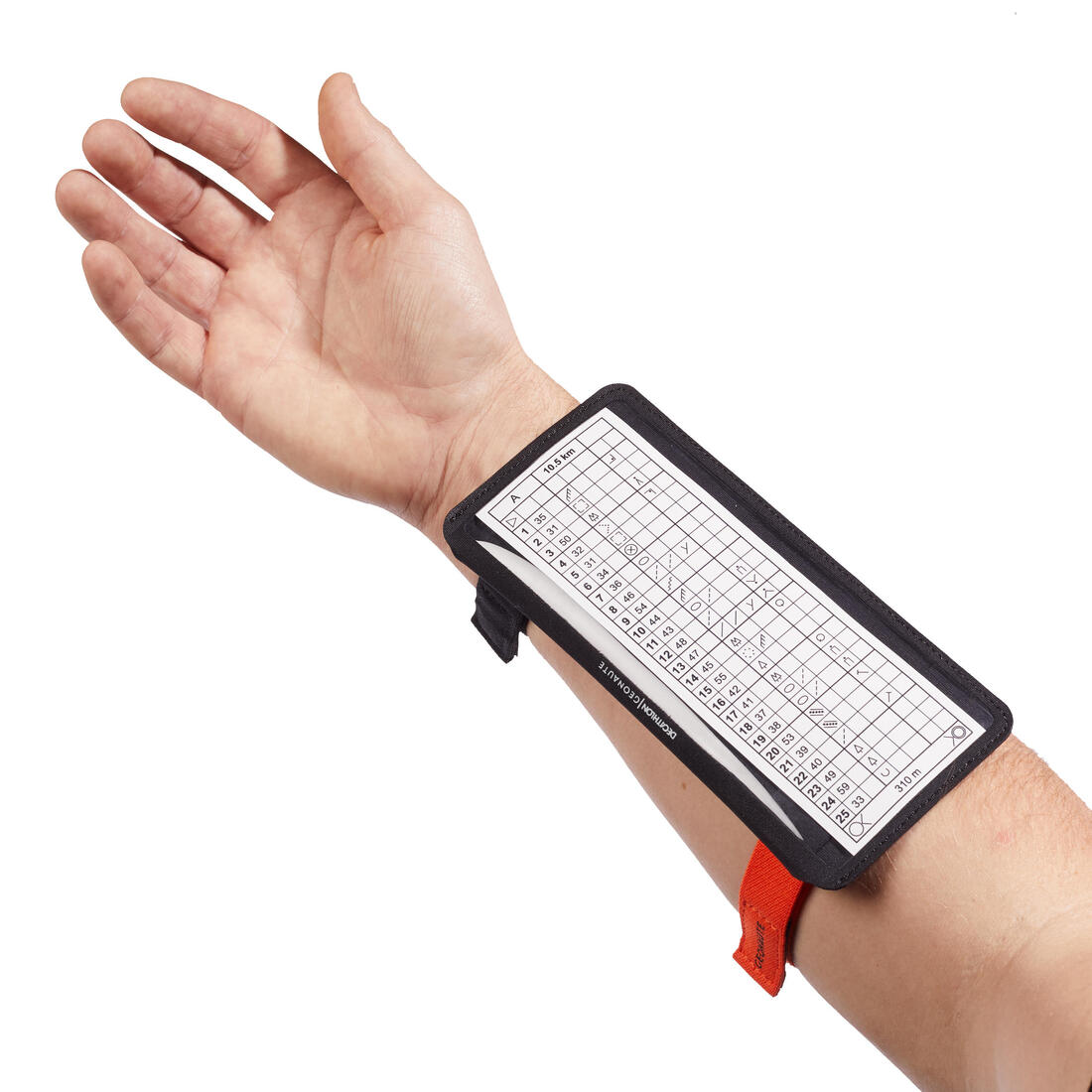 IMG_8518786_2