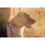 Product thumbnail 6 of 6