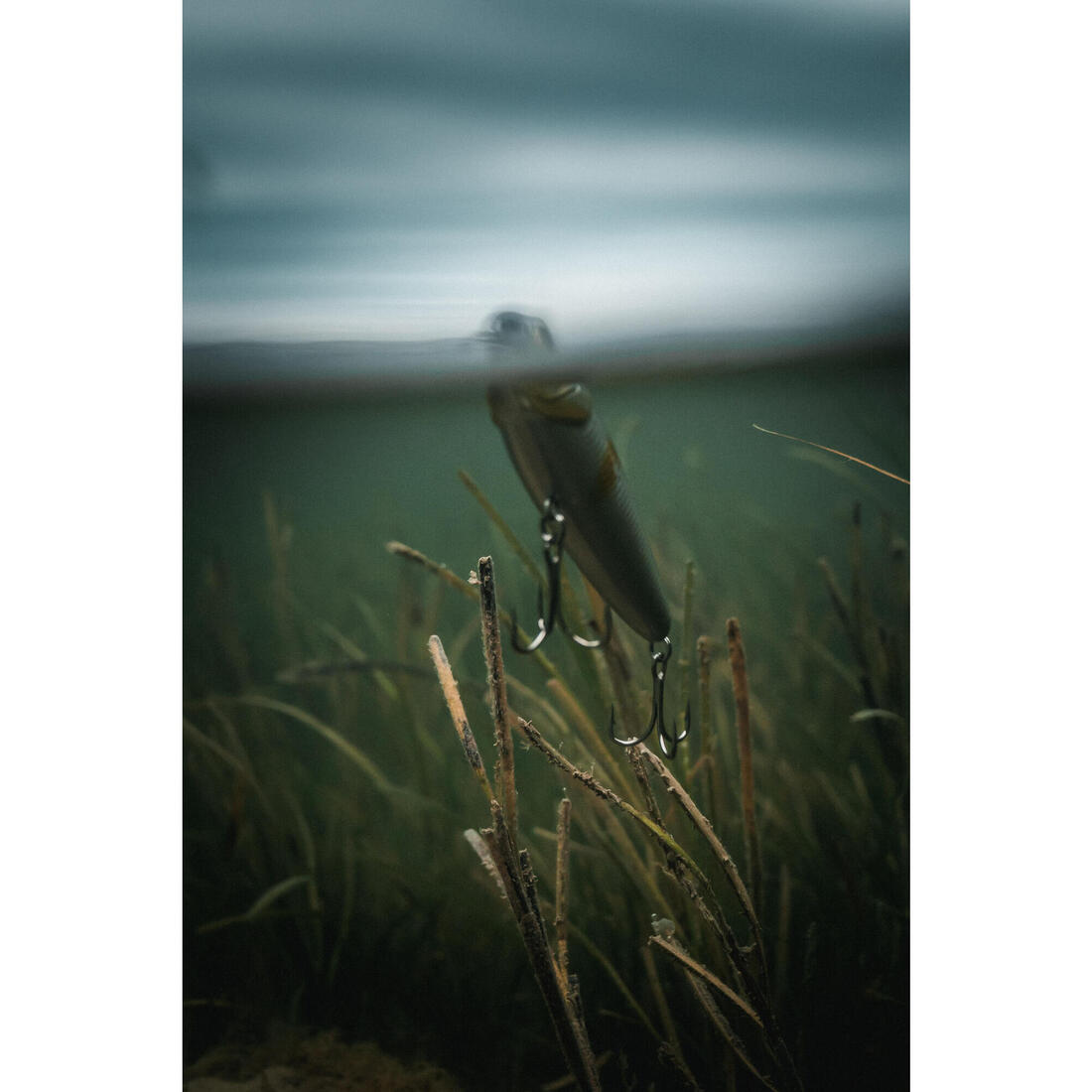 IMG_2069231