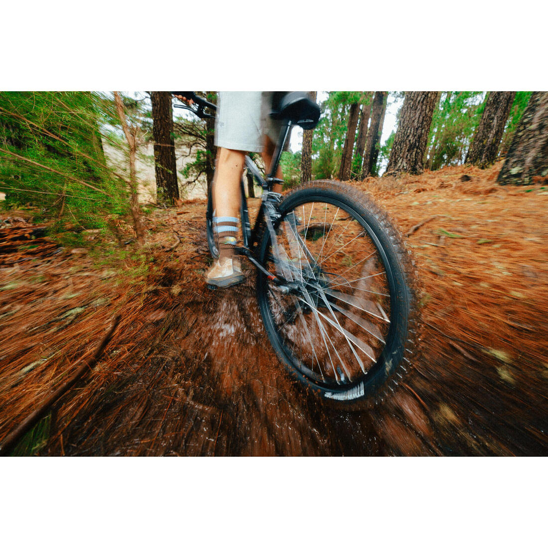 IMG_8733740_14