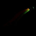 IMG_2274627