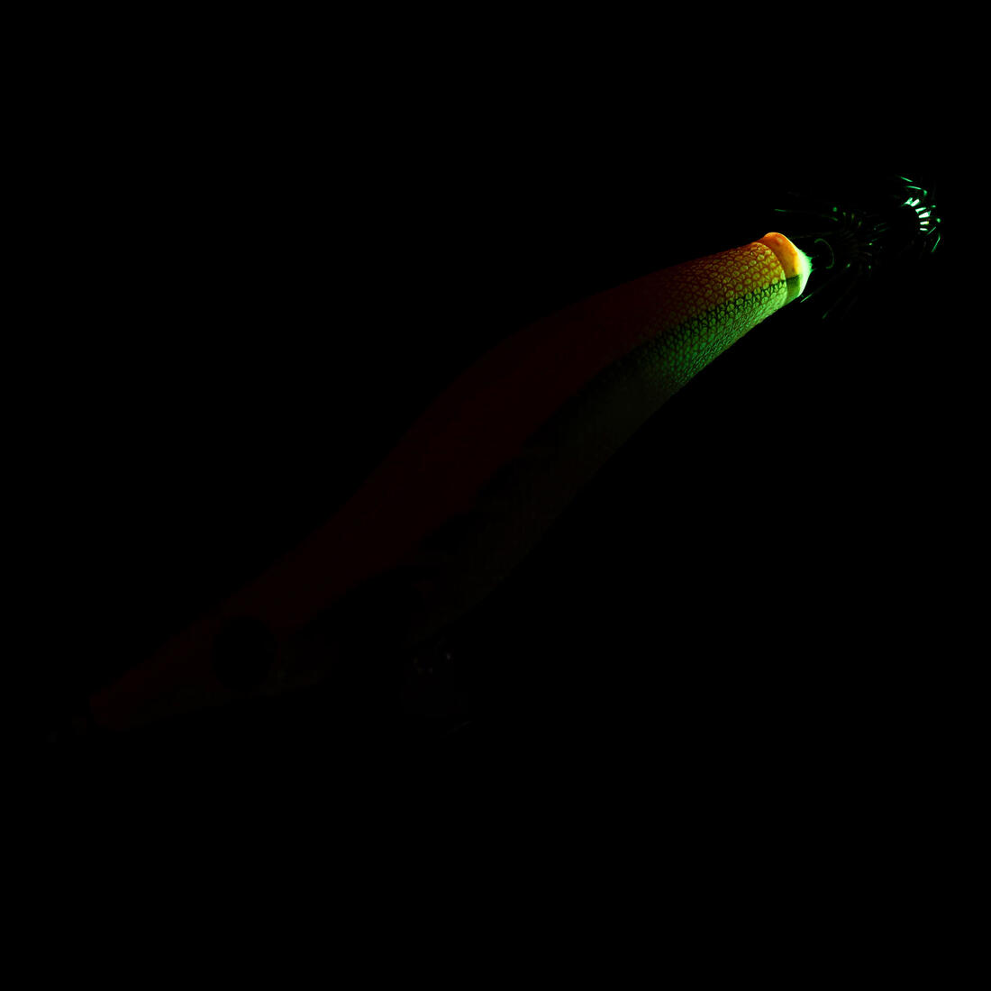 IMG_2274627